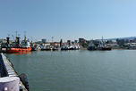Рыбный терминал морского порта Махачкалы